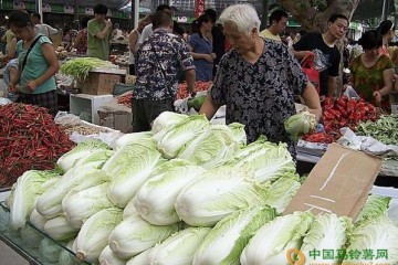 降雨影響 廣州菜價漲跌互現(xiàn) ()