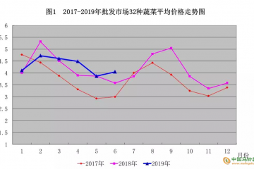 下半年青島蔬菜貴不貴？ ()