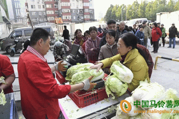 冬儲菜上市 北京蔬菜總體供應(yīng)充足 ()