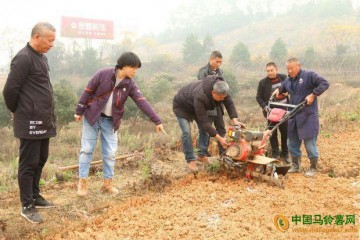 湖南邵陽：冬馬鈴薯栽培技術(shù)示范 ()