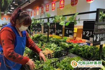 菏澤：菜價(jià)繼續(xù)小幅下降 ()