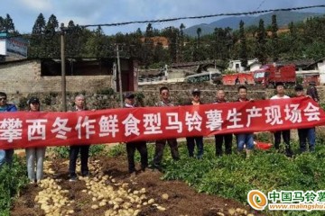 西昌學(xué)院馬鈴薯生產(chǎn)技術(shù)項目驗收通過 ()