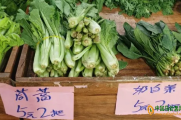 河北：蔬菜價(jià)格大幅回落 ()