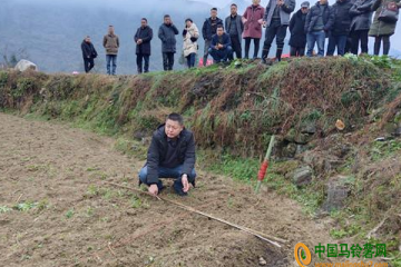 來鳳縣：舉行馬鈴薯集成高效模式種植暨冬農(nóng)開發(fā)推進會 ()